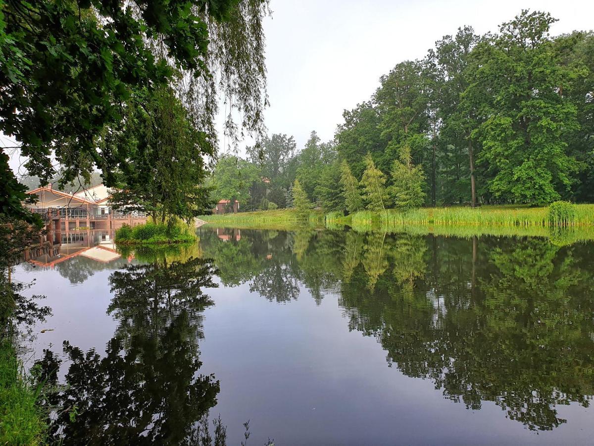 Stacja Nowa Gdynia Bed & Breakfast Aquapark Zgierz Exterior foto
